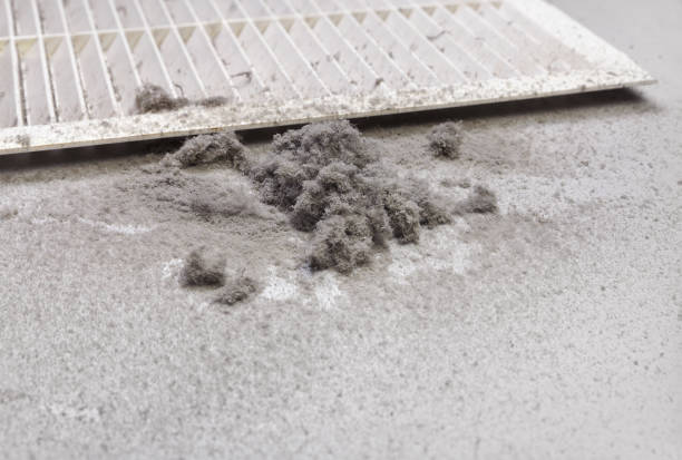 Best Duct Cleaning Specialists  in Bloomingdale, IL