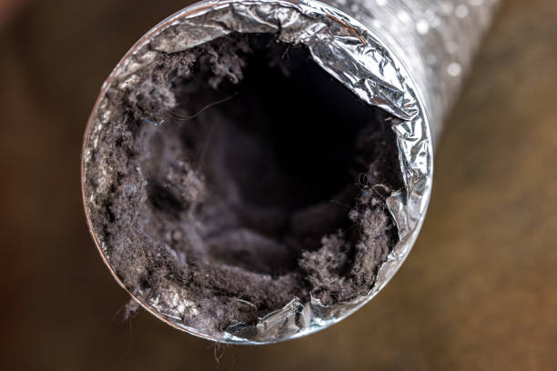 Best Emergency Air Duct Cleaning  in Bloomingdale, IL