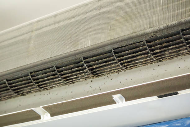 Best Emergency Air Duct Cleaning  in Bloomingdale, IL