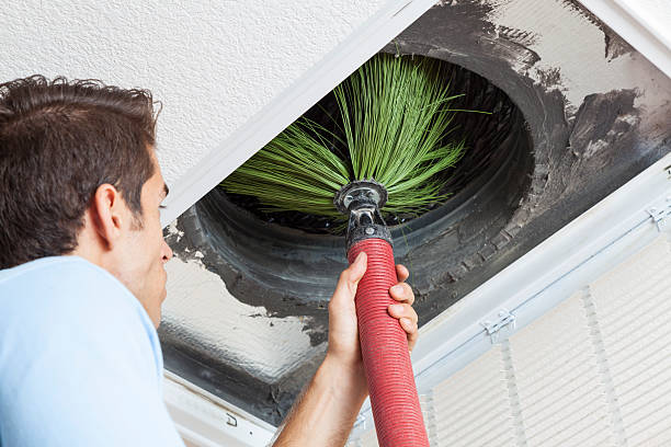 Best Air Duct Cleaning Company Near Me  in Bloomingdale, IL
